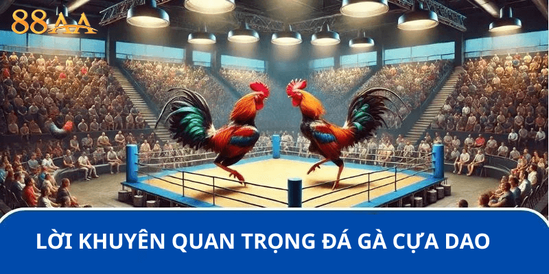 Lời Khuyên Quan Trọng Khi Quan Sát Đá Gà Cựa Dao